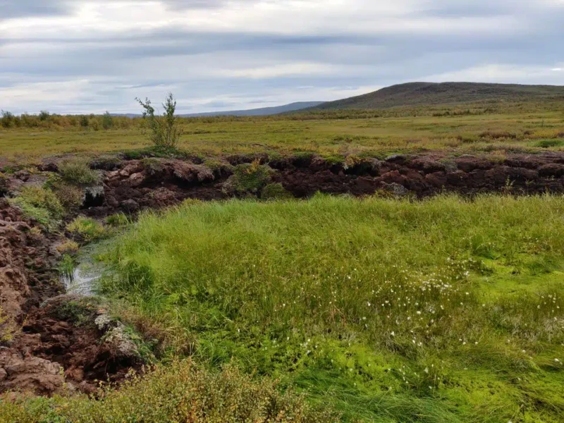 Voimakkaasti sulanut palsa lähellä Kilpisjärveä, Enontekiöllä elokuussa 2024. Kuva: Oona Leppiniemi / Oulun yliopisto